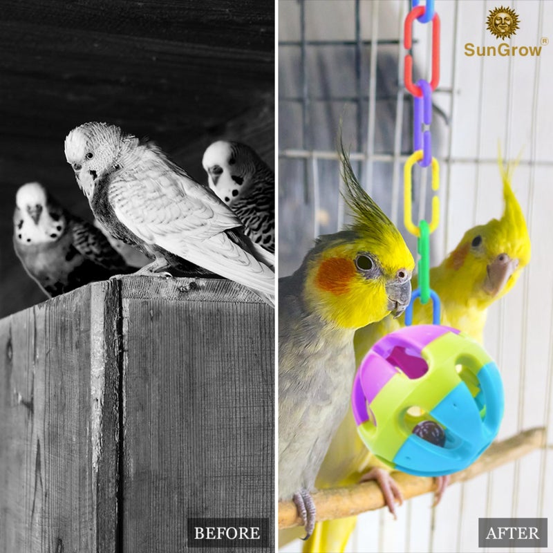 SunGrow Rainbow C-Clips Plastic Chain Links, Bird Swing & Climbing Chain Cage Toy Clips & Hooks, DIY Kids Learning Toys for Classroom, Suitable for Sugar Glider, Rat, Parrot, Bird - Image 4